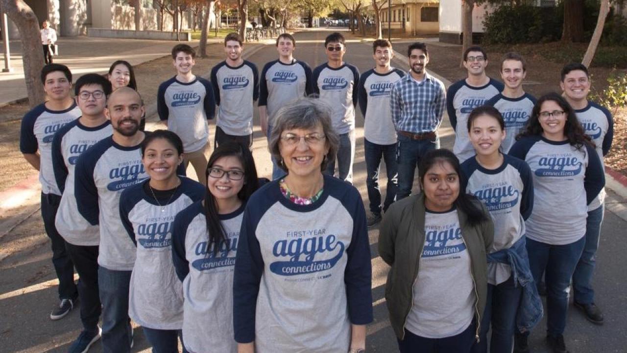 AvenueE cohort 2017