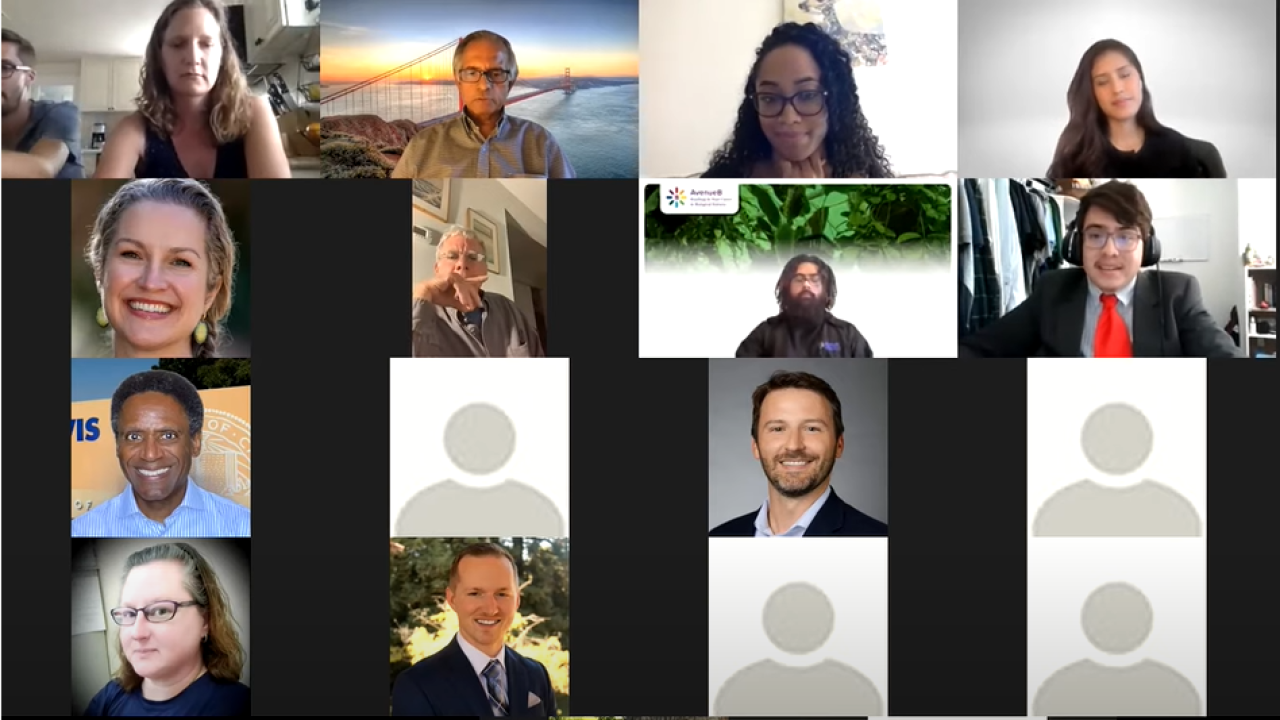 Online presentations for the Vertically Integrated Projects (VIP) Program