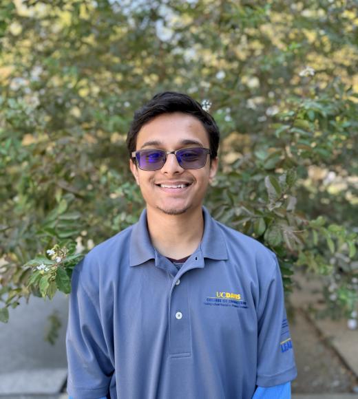 Smiling young man in sunglasses wearing blue polo with logo, leafy background