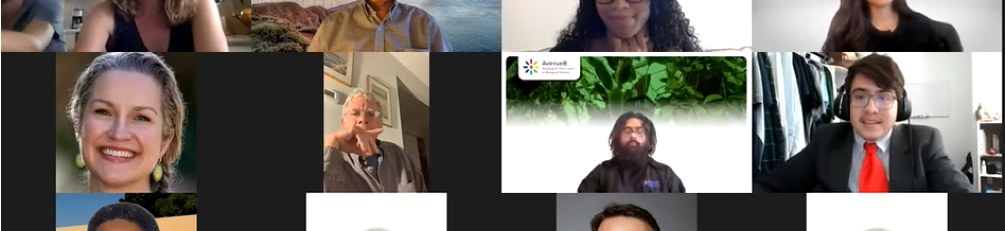 Online presentations for the Vertically Integrated Projects (VIP) Program
